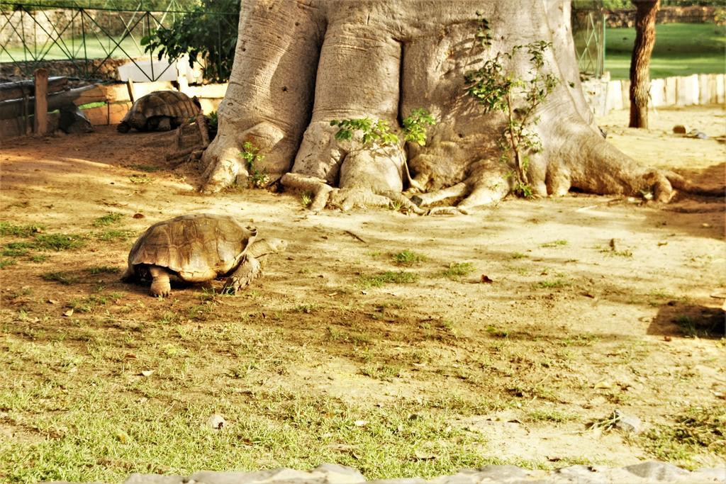 Africa 6 Plage Somone Exteriör bild